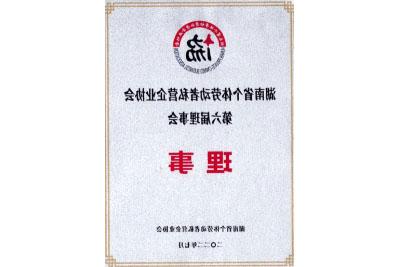 湖南省个体劳动者私营企业协会第六届理事会理事
